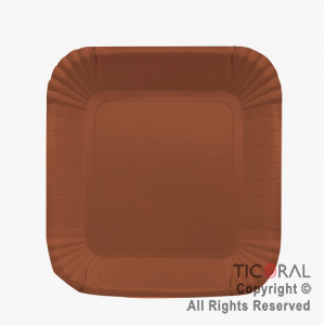 PLATO CHICO CUADRADO TERRACOTA x 8